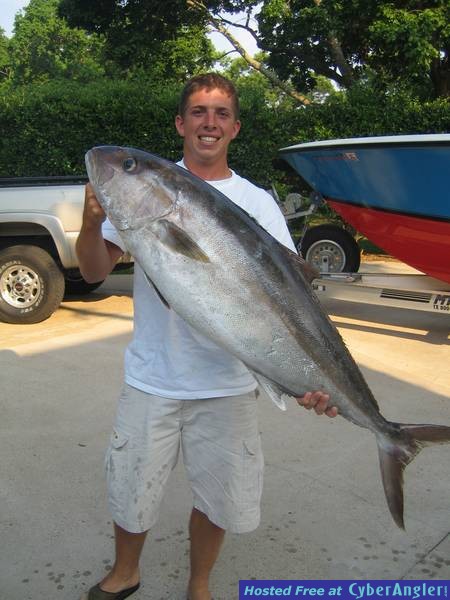 50 lb AJ