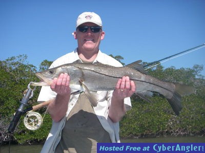 32 inch snook on fly in Naples