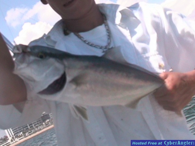 Big Jack