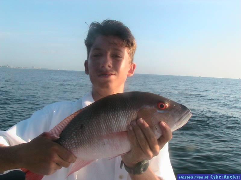 Mutton snapper