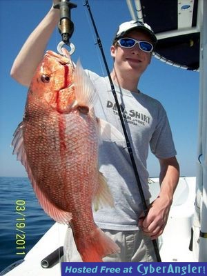 Click to Enlarge Photo