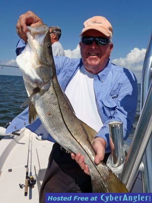 Thirty-two inch snook caught and released from Matlacha Pass