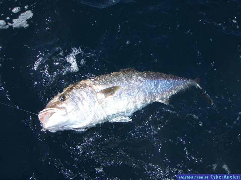 P3170033