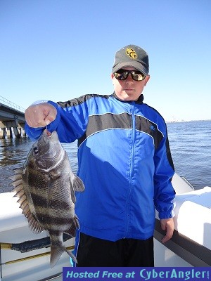 Mr_Dillon_Sheepshead-jpeg