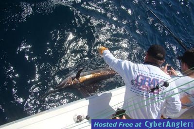 Click to Enlarge Photo