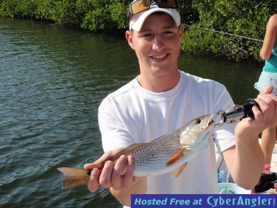 Click to Enlarge Photo