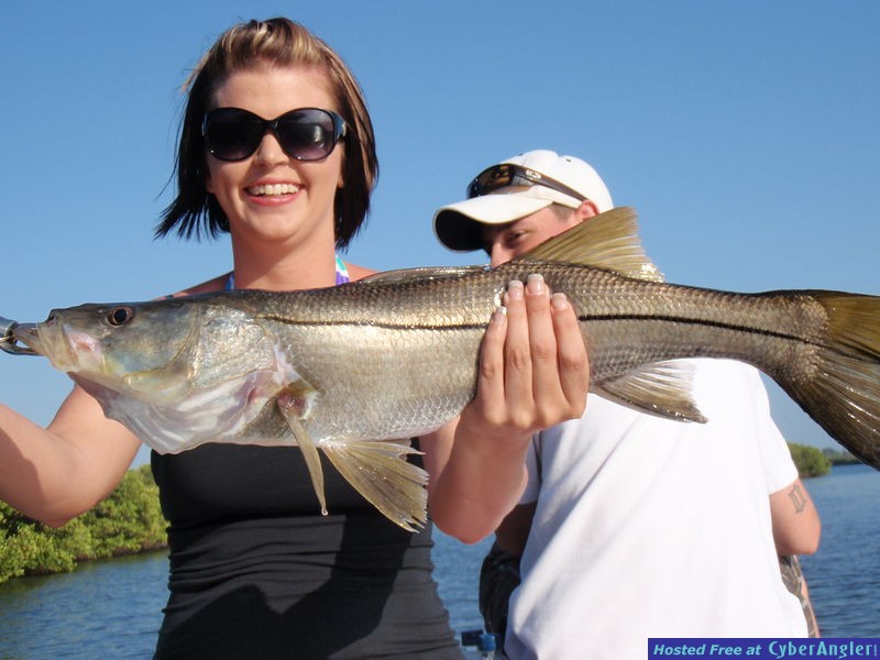 snook fishing tampa
