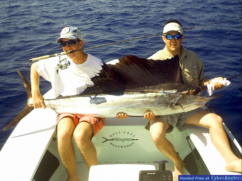 Hells_Bay_Sailfish1