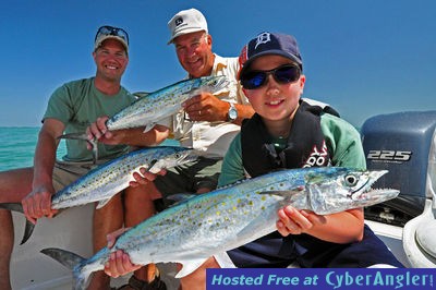 Charlotte Harbor Mackerel