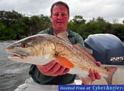 Click to Enlarge Photo