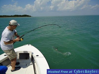 florida keys tarpon