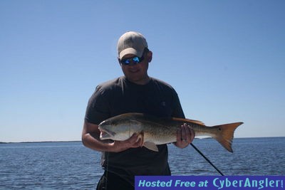 12-pound Homosassa redfish