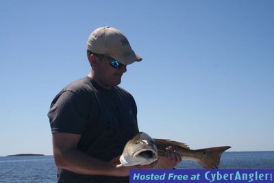 12-pound Homosassa redfish