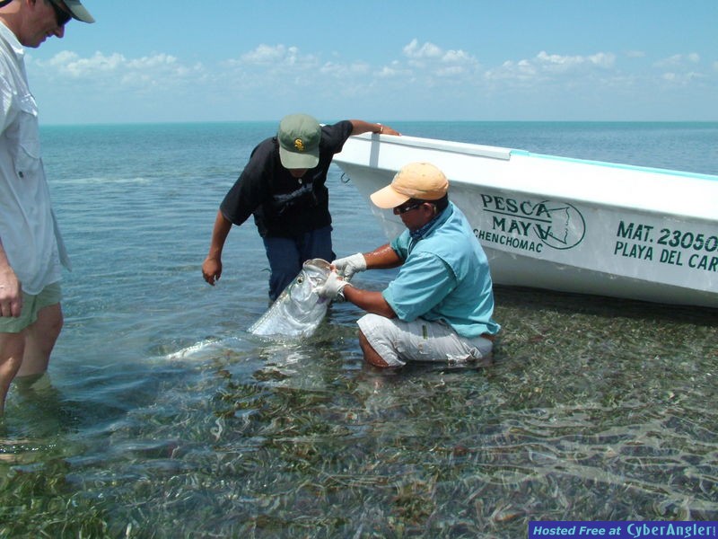Greg_Wilbert_catching_tarpon
