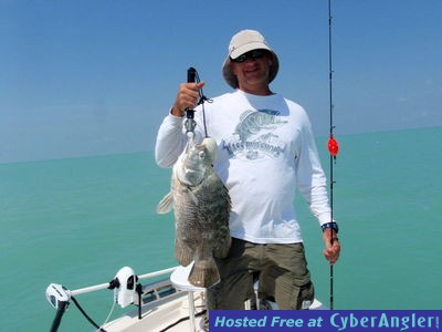 Davids_9_5_lb_tripletail