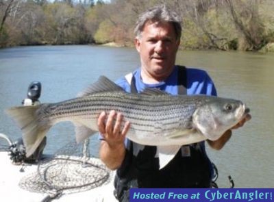 Lake Lanier Fishing Guide