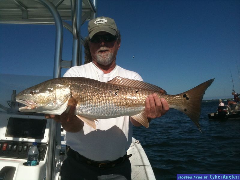 trout_436