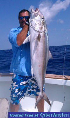 4-7-11_amberjack