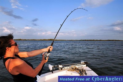 Click to Enlarge Photo