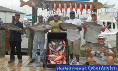 amberjack april 2011