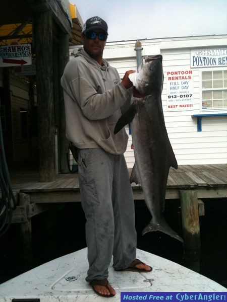 trout_442