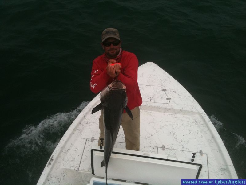 trout_443