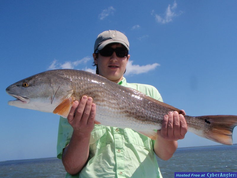 Capt. David Rogers/Mosquito Lagoon/Redfish