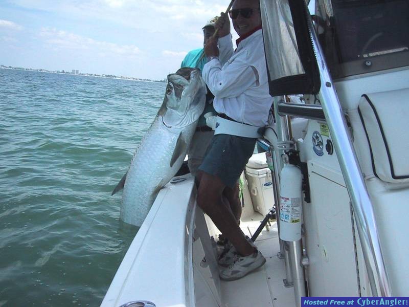 Tarpon