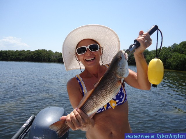 TAMCO_2011_014