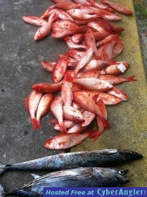 Click to Enlarge Photo