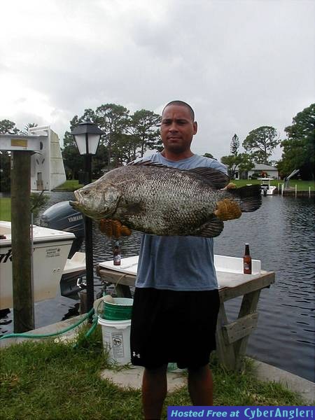 Tripletail