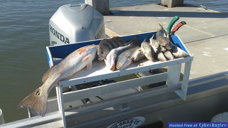 www.captdaves.com