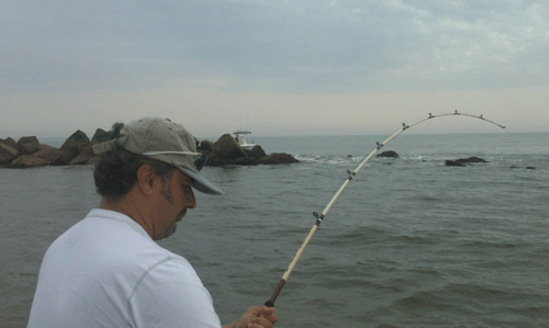 www.captdaves.com