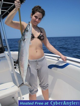 36-inch kingfish