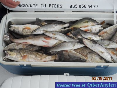 Click to Enlarge Photo