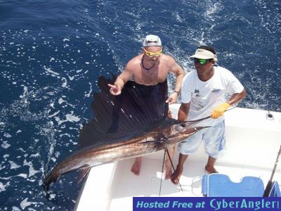 Woody_Sailfish