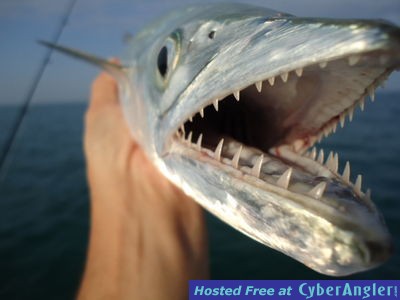 Click to Enlarge Photo