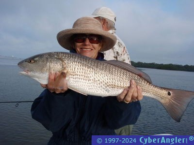 Click to Enlarge Photo