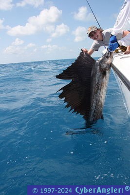 Click to Enlarge Photo