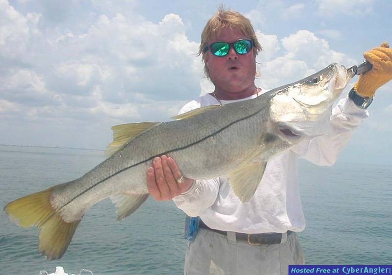 Snook