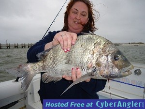 BIG_DADDY_SHEEPSHEAD-jpeg