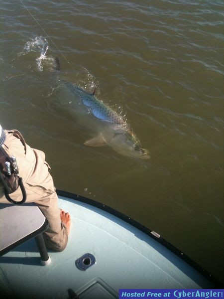 naplesfloridaflyfishing.com