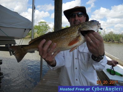 Click to Enlarge Photo