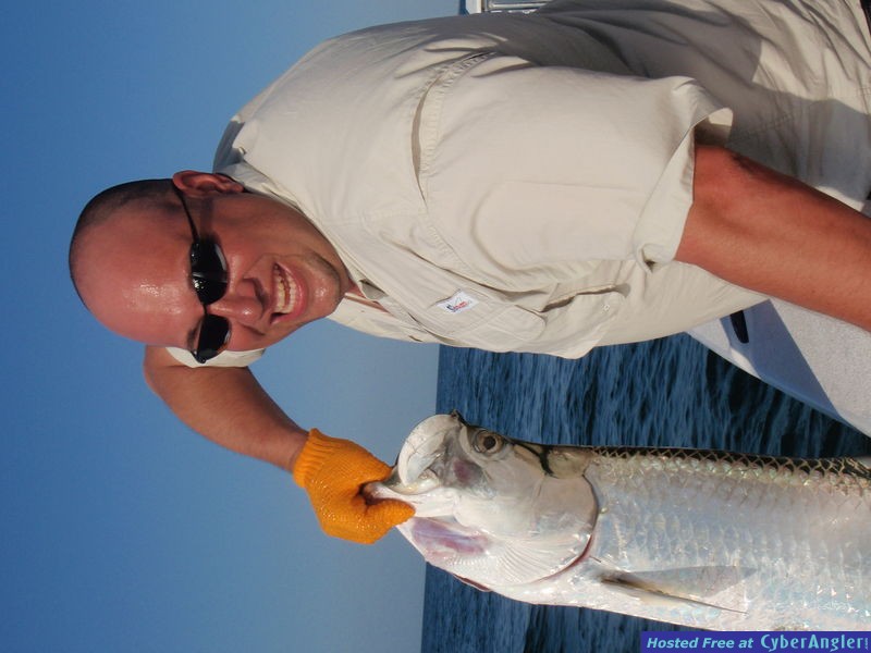 CFF_Tarpon1