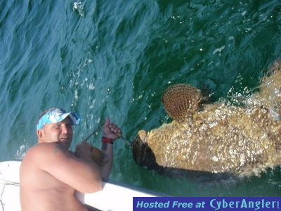 Click to Enlarge Photo