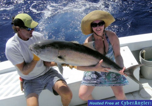 Alvino_amberjack2_jpg