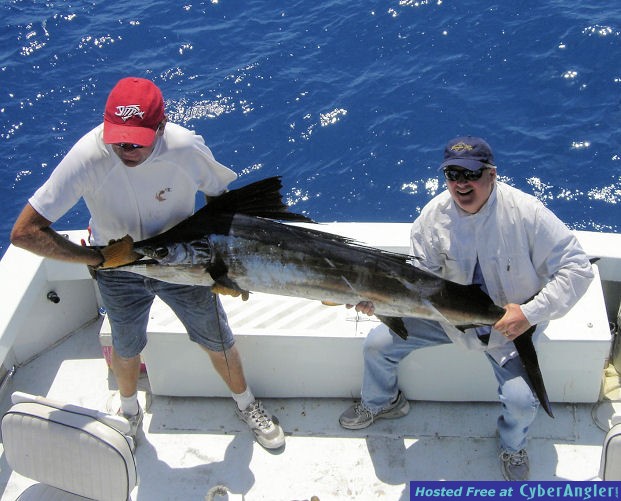 Corbacho_sailfish_3-2011