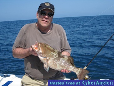 8-pound red grouper