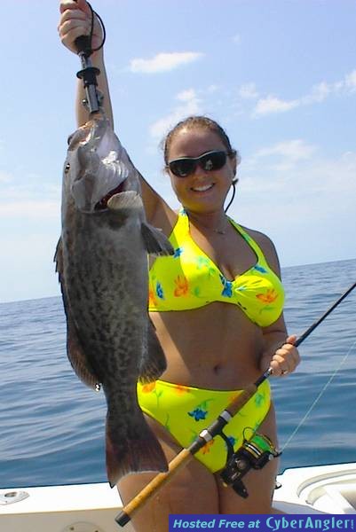 Gag Grouper