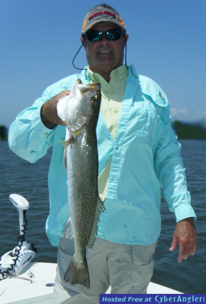gator_2
